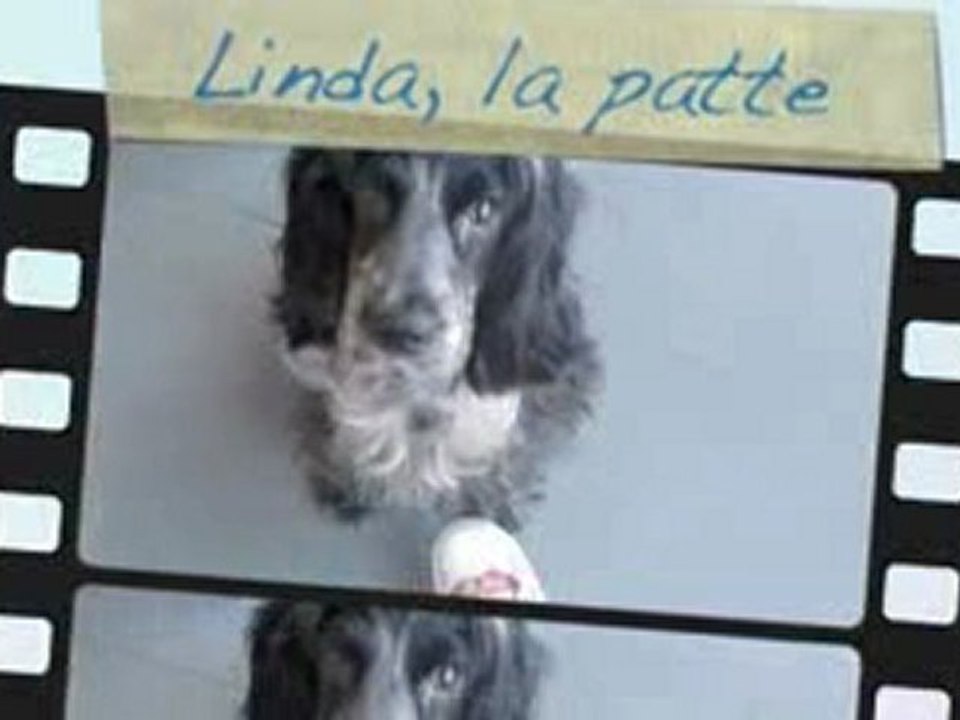 linda la patte