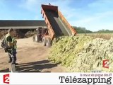 Télézapping : L'artillerie lourde contre l'algue verte