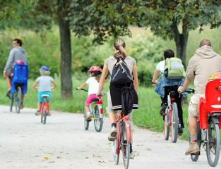 Daggett Shuler, Winston Salem NC Bicycle Accident Attorney