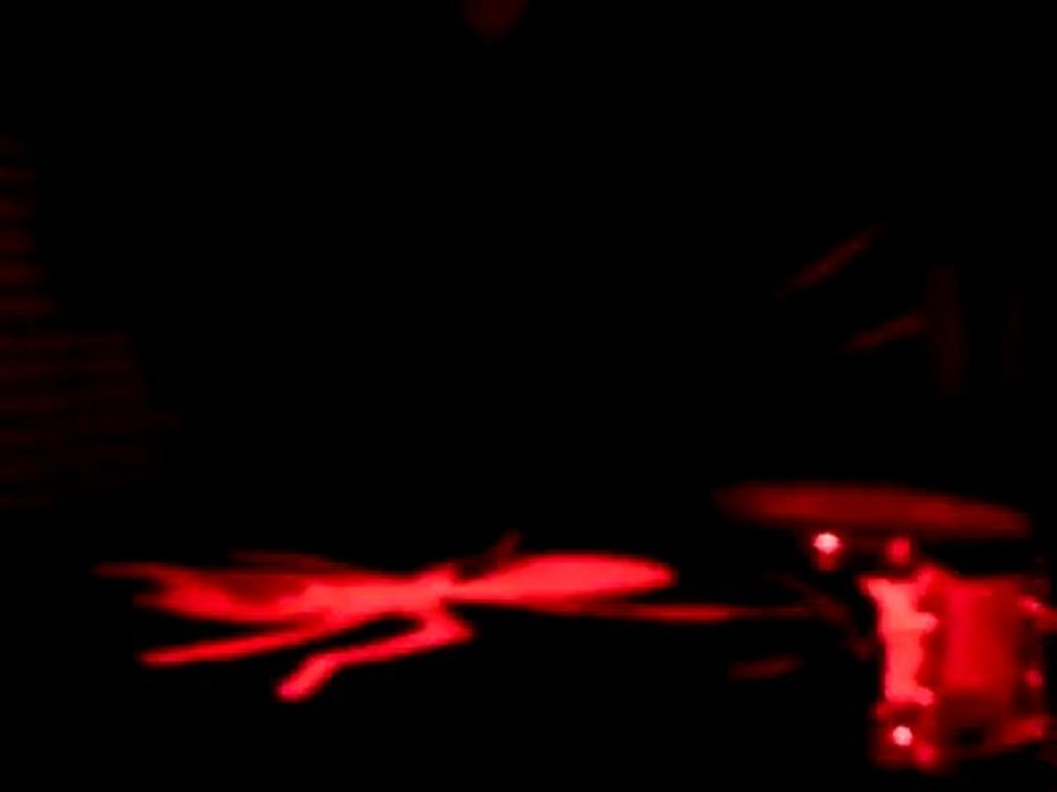 intro + THE PRODIGY Run With The Wolves + outro