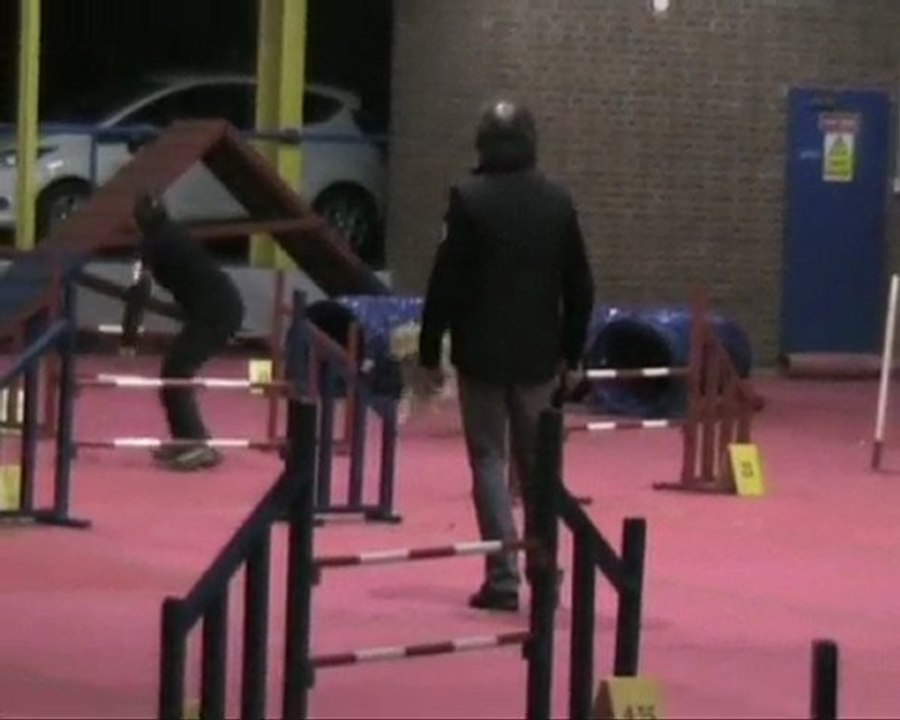 Concours agility Woincourt (4) 2010