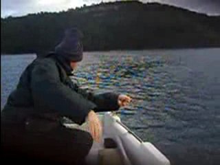 subat palamut 2010 001