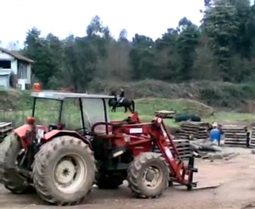 Chevallerie ^^