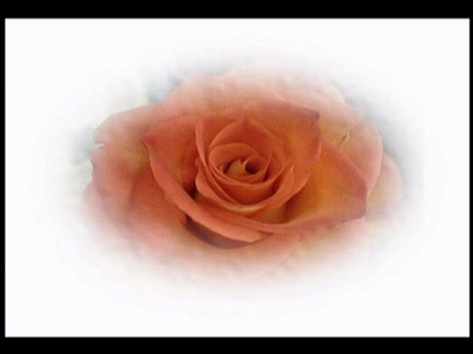 Antonio Vivaldi, Cztery pory roku - Lato