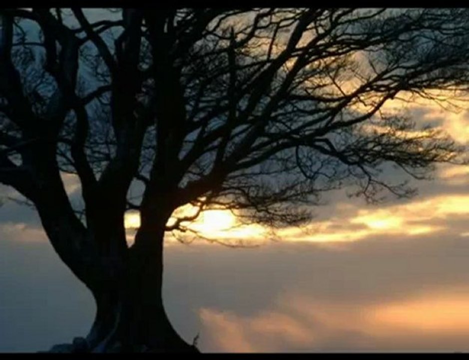 Alistair Hulett  -  The Fair Flower of Northumberland