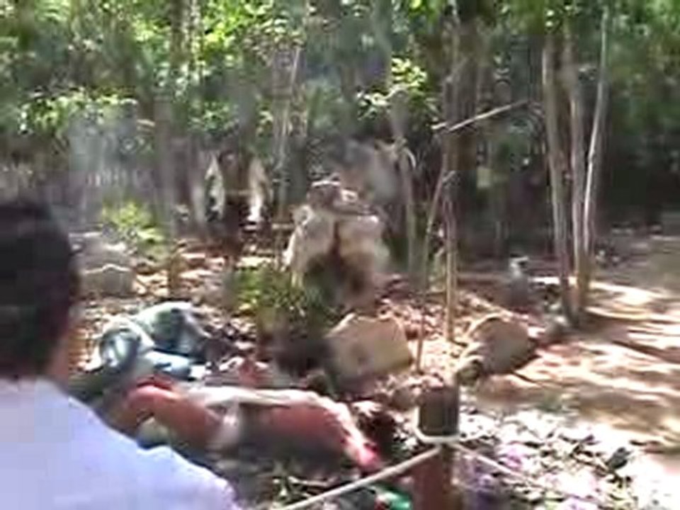 BALLET XAMAN-HA EN XEL-HA