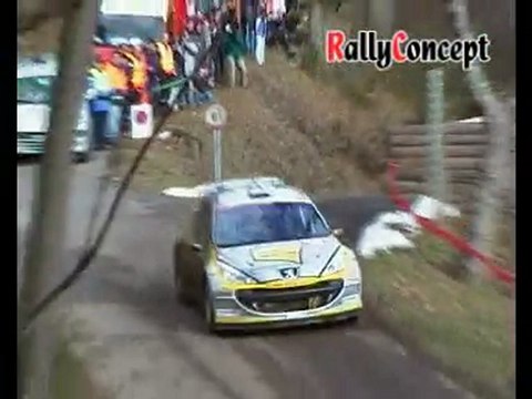 Rallye monte carlo 2010