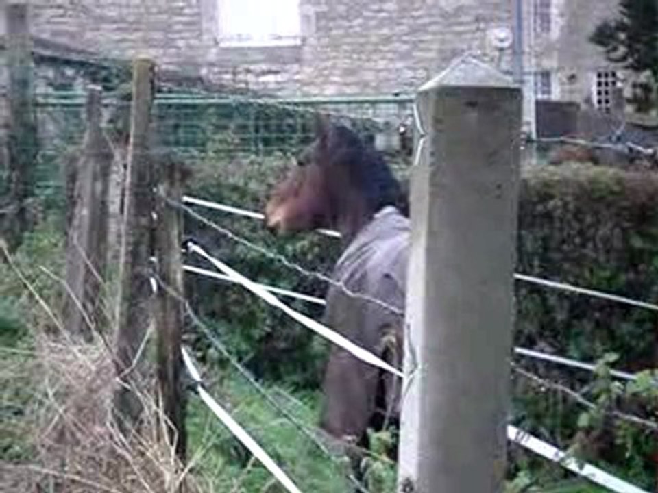 le galop de ouff !!!