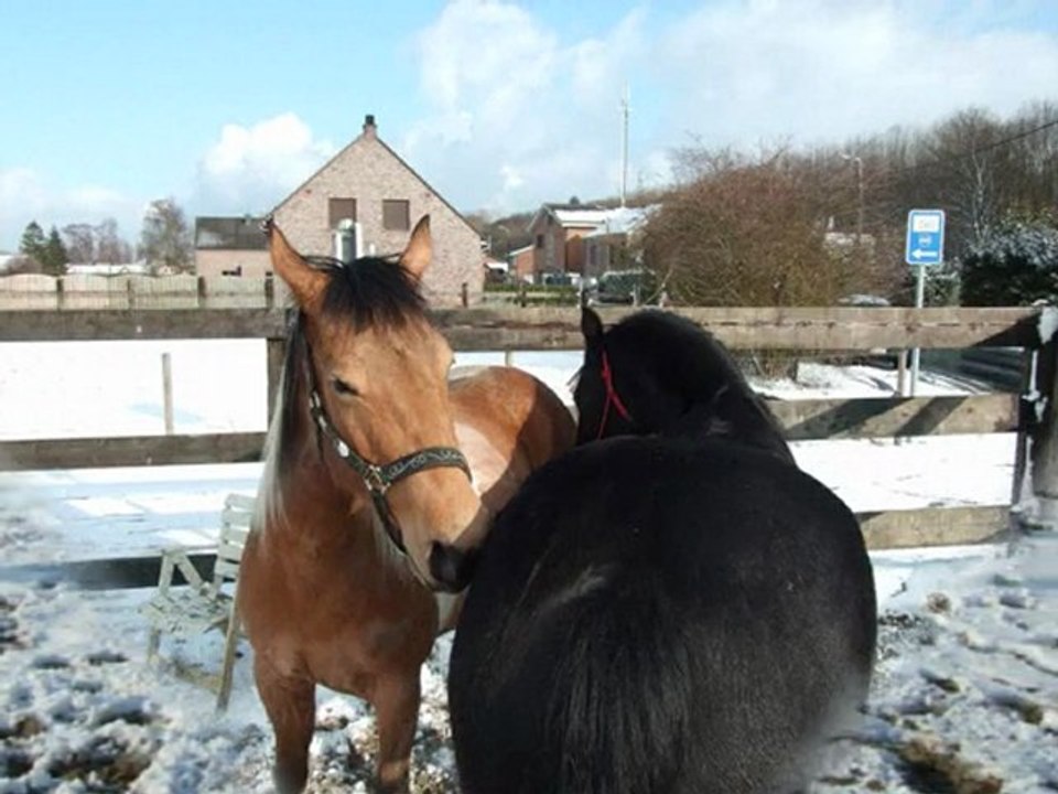 souvenir hiver 2009-2010