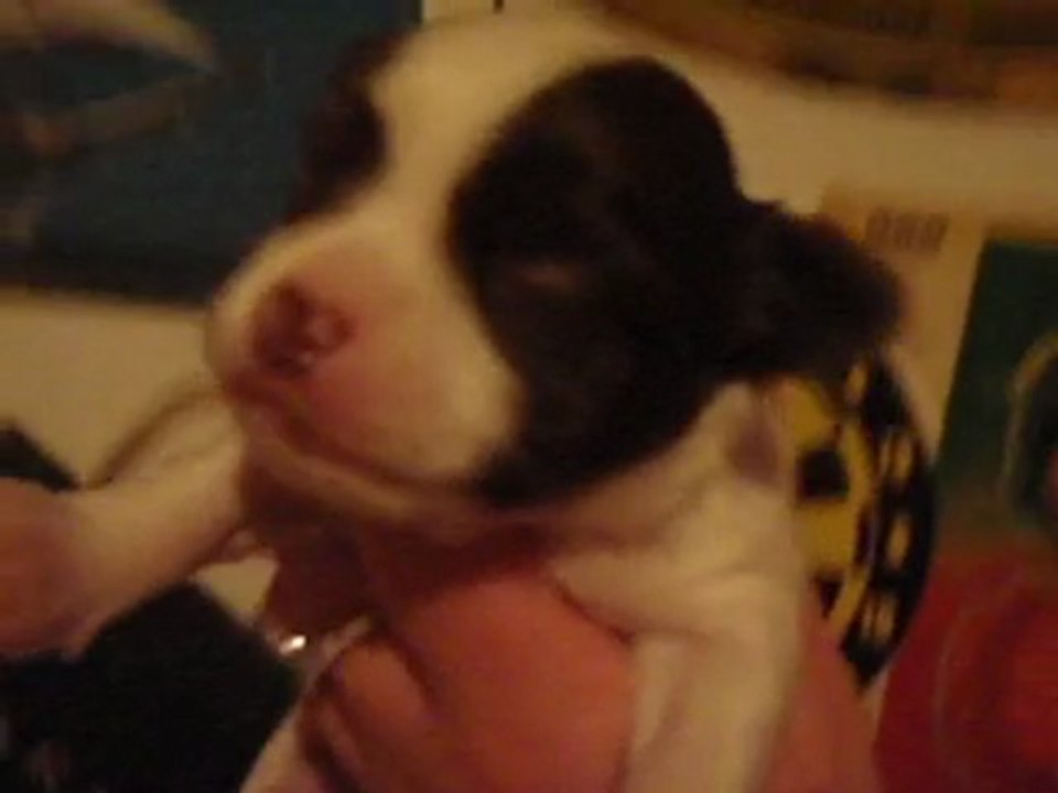 vidéo bb prali 001