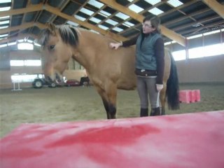 Nora sait secouer la tête =D ( mardi 3 fevrier 2010 )