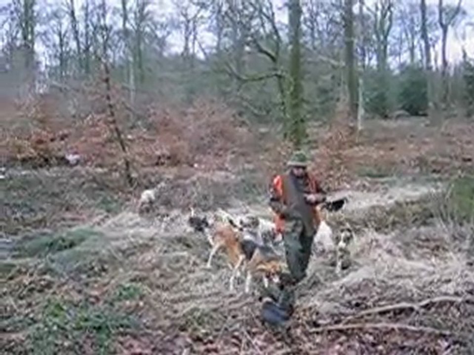 La meute du copain de traque