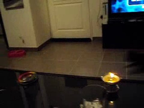 Notre chatte qui ramène la balle