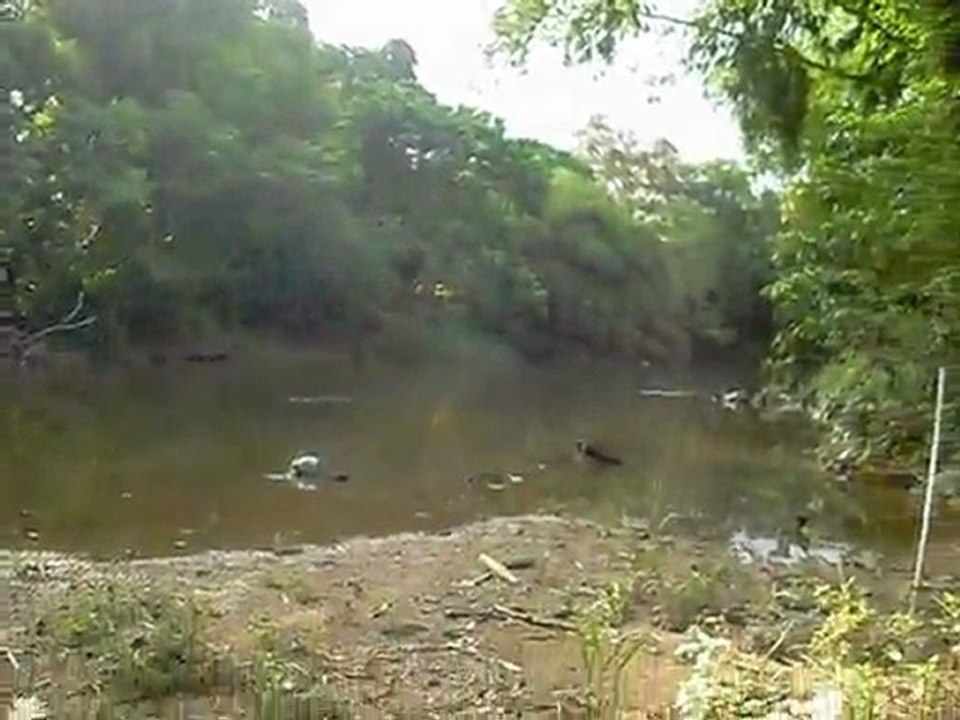 Tebakang Melayu Riverview