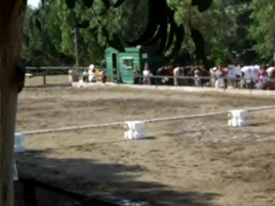 apareil numerique 034