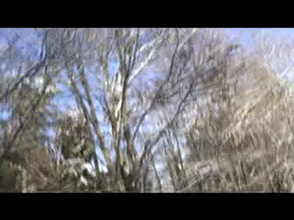 Neige du 29-01-2010 au 30-01-2010.