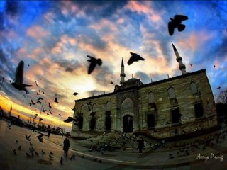 sedat yeter artık deli gönül