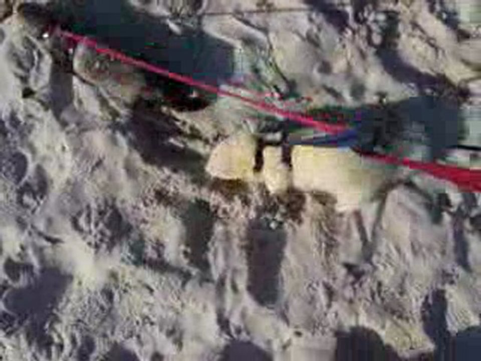 Elliot creuse dans le sable