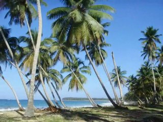 PUNTA CANA 18-26 JANVIER 2010