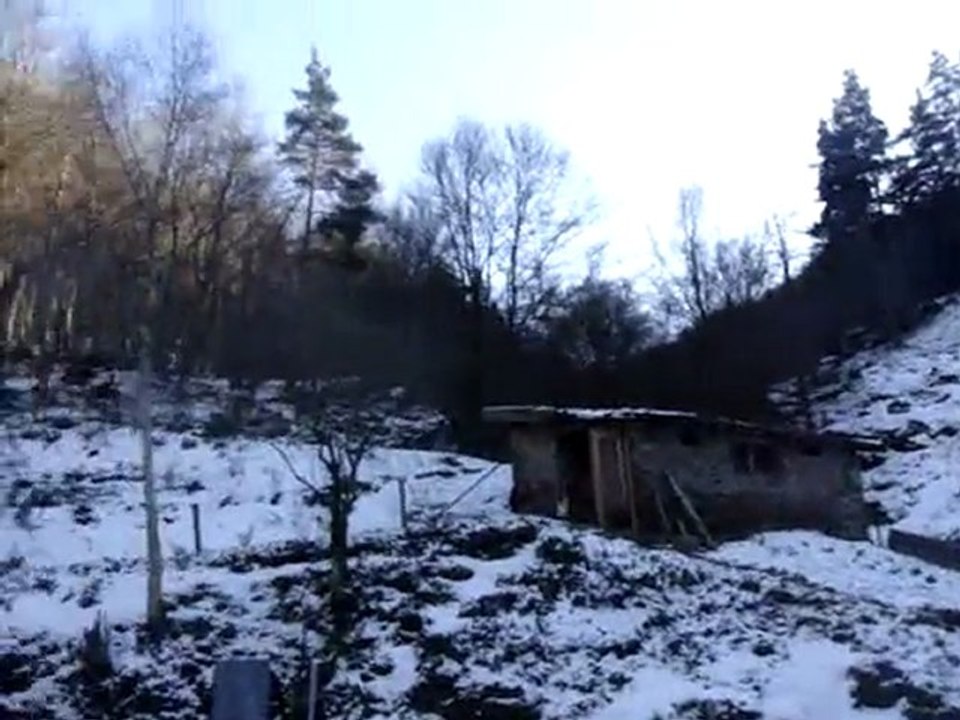 Ballade dans la neige à poney