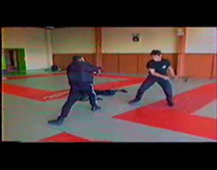 TV TONFA OPERATIONNEL LEVINET