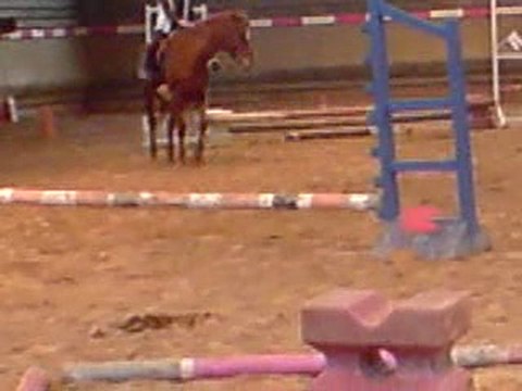 SANNA CHALLENGE EQUITATION 1 ER TOUR 2010