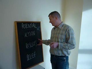 Take Action | NetBiz  Success