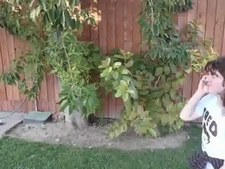 Nude Pics of Shane Dawson