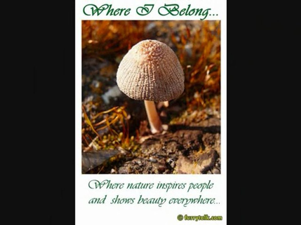 FurryTalk #10 For the Soul-Where I Belong