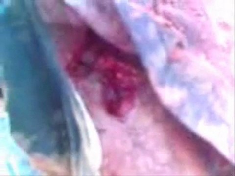 polisario ; implication dans la contrebande internationale