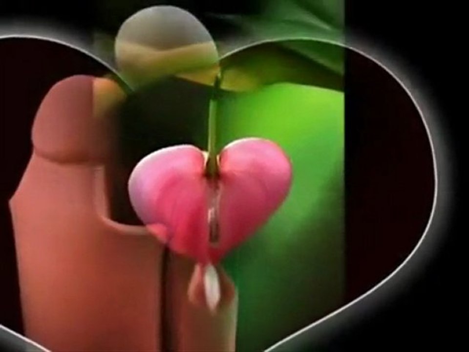 tayfun talipoglu - sen sen sen