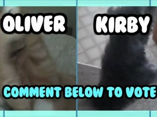 Fan Submitted Pets! - Animal Idol 019