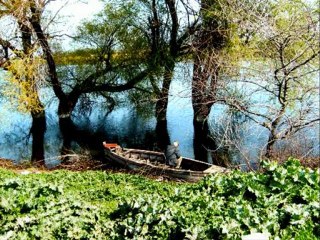 Payıma Düşen Evren: Şiir ve Fotoğraf ile Büyüleyici Bir Yolculuk 🌌