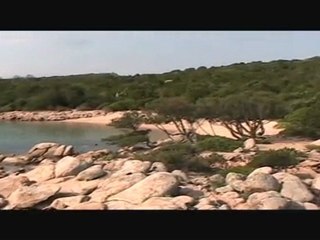 Sardegna 2009 liscia ruja