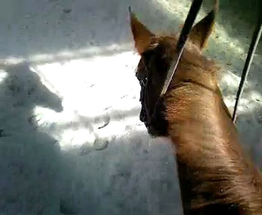 Video 5
