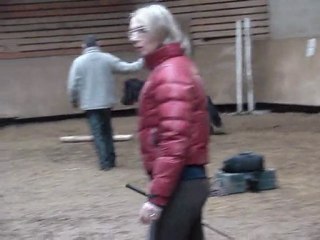 TANGO DES MAUVIS Etalon shetland