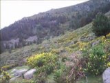 SIERRA DEL GUADARRAMA , HOYO CERRAO