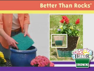 How To Repot a Houseplant & Why It's Important