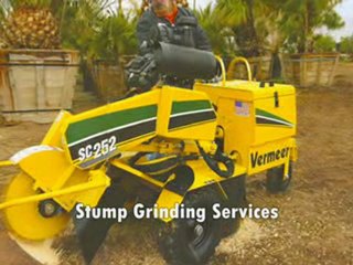 Commercial Tree Trimming Shreveport LA - Arbor Management