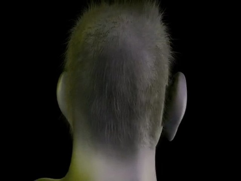 3D Head Mod - Without Texturing.