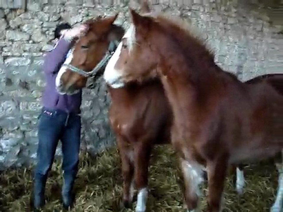 Premières manipulations de Ucky