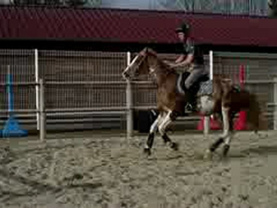 COLOR NOTCH UP PREMIERS SAUTS