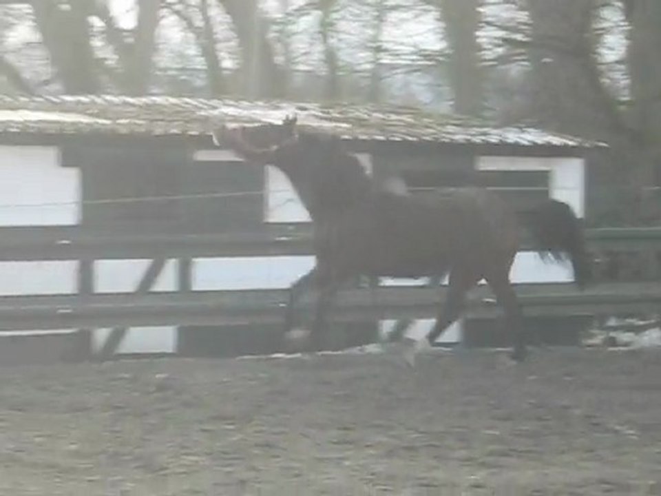 Neige =) 030