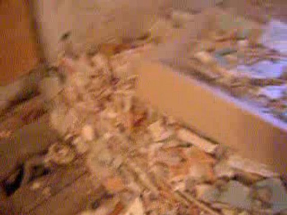 2e vidéo : Démolition