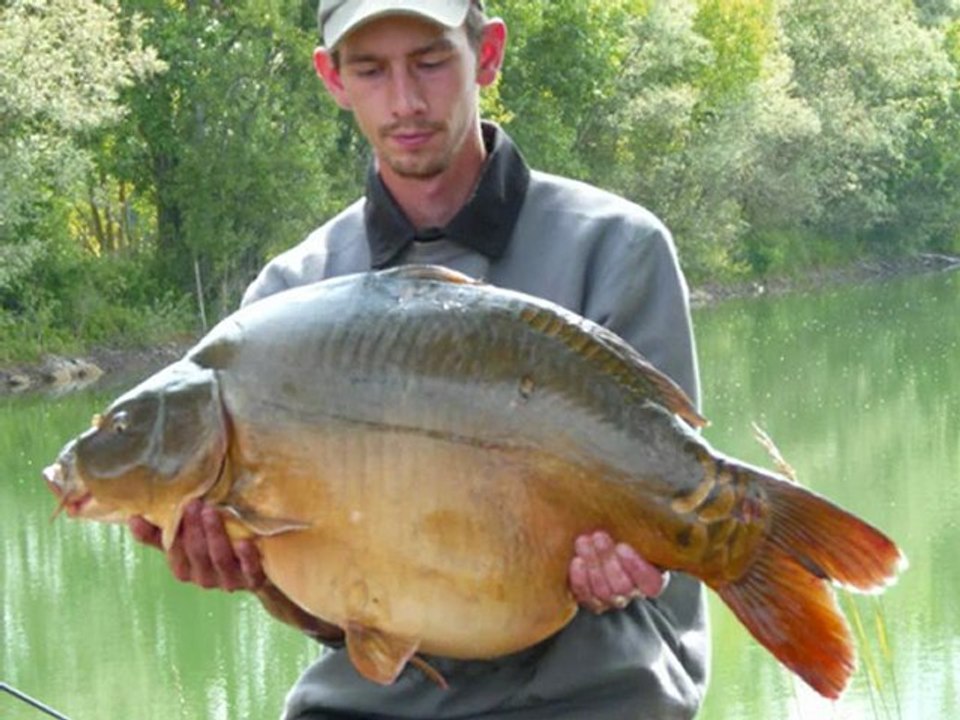 diapo pêche