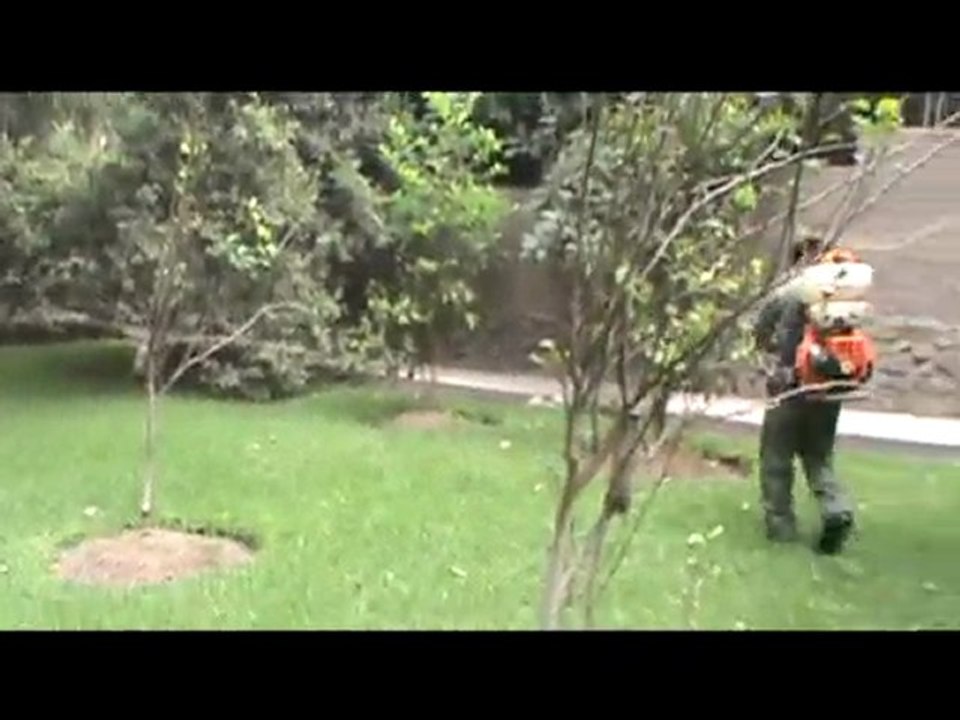 fumigacion de arboles frutales -  vivero chaclacayo