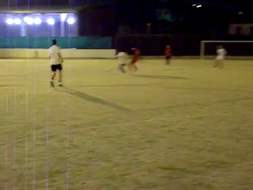 Match du 29 janvier 2010: 1er but adverse