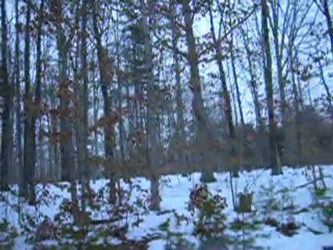 Buy Land Fluvanna, Land For Sale Charlottesville