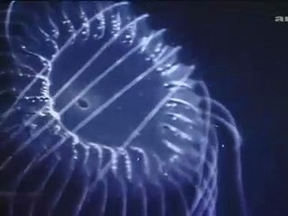 Expédition dans les abysses