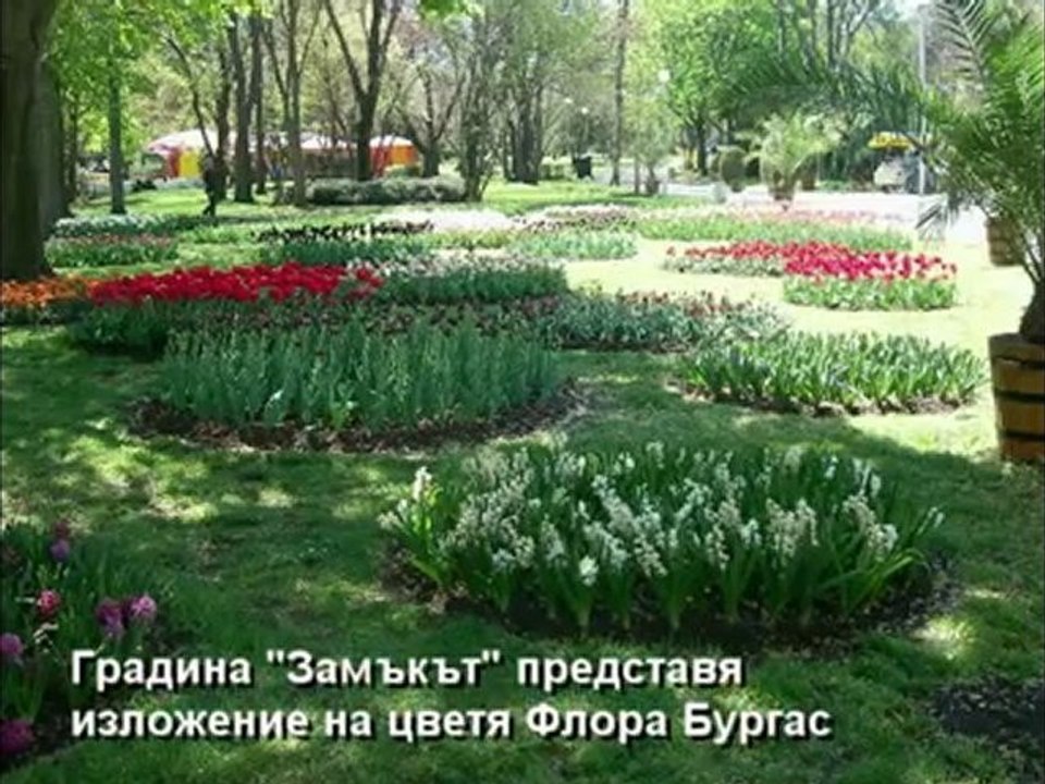 Изложение на цветя Флора Бургас - video Dailymotion
